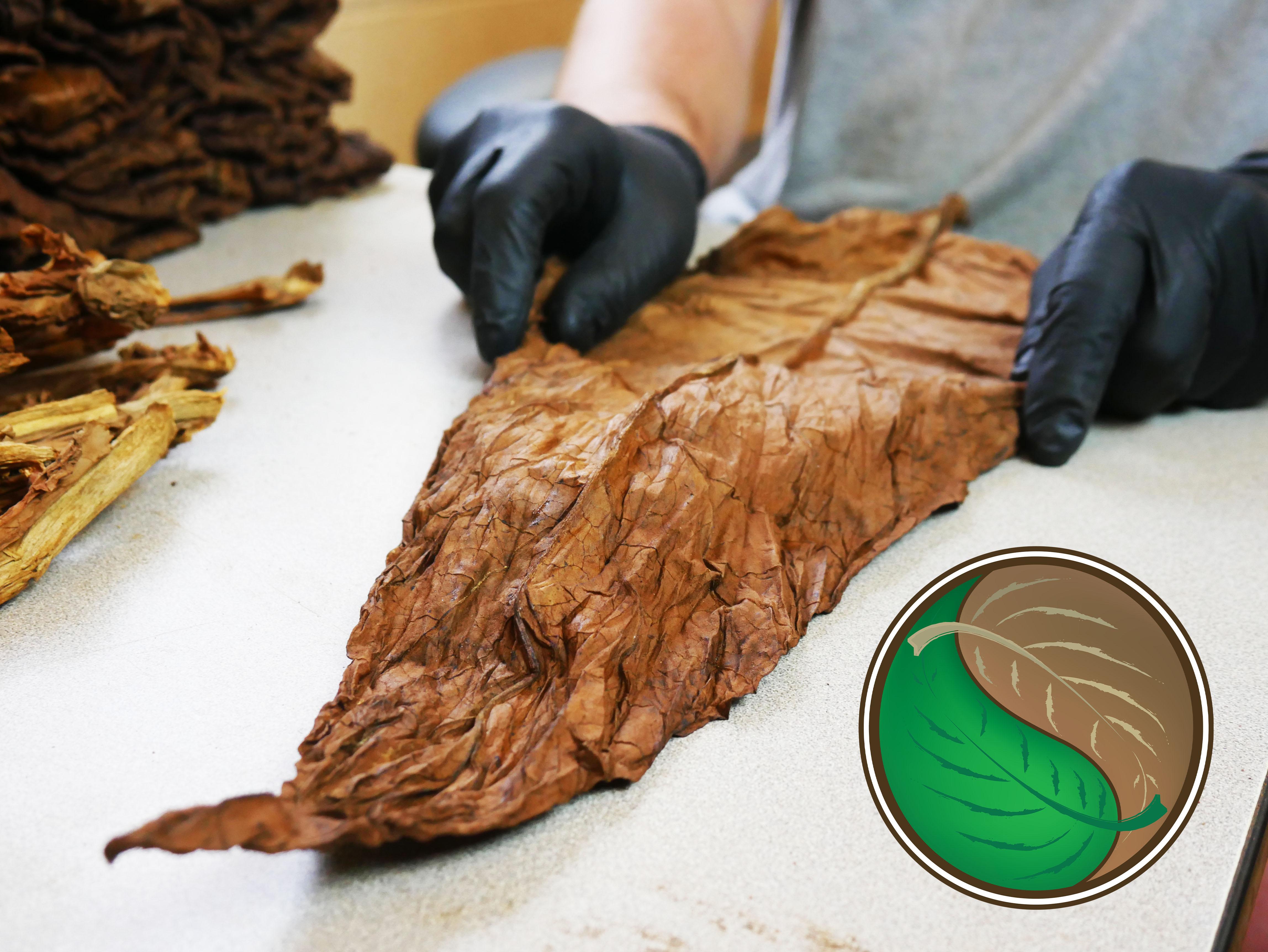 Single Fronto Leaf Dark. Leaf Only Packaged Fronto Wrapper Tobacco